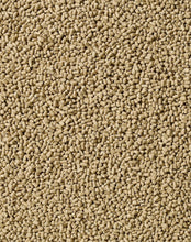 Load image into Gallery viewer, Saracen Equi-Jewel 20kg