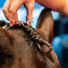 Load image into Gallery viewer, Smart Grooming Forelock Plaiting Grippers