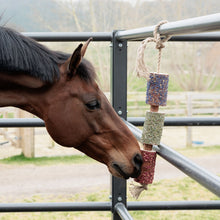 Load image into Gallery viewer, Grooming Deluxe Wooden Relax Horse Toy - Freedom