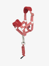 Load image into Gallery viewer, LeMieux Toy Pony Vogue Headcollar & Leadrope spiced earth