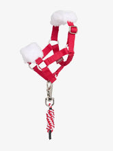 Load image into Gallery viewer, New
Toy Pony Christmas Headcollar & Leadrope Red