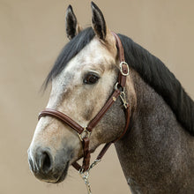 Load image into Gallery viewer, Dy’on Working Soft Leather Halter