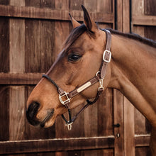 Load image into Gallery viewer, Kentucky Horsewear Rope Halter Brown