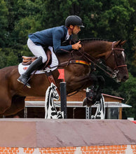 Load image into Gallery viewer, Premier Equine Kevlar Airtechnology Tendon Boots