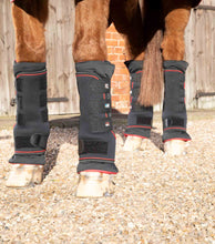 Load image into Gallery viewer, Premier Equine Nano-Tec Infrared Boot Wraps Inc. Liners