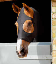 Load image into Gallery viewer, Premier Equine Stretch Lycra Hood