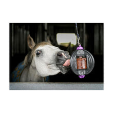 Load image into Gallery viewer, Bizzy Horse Bizzy Ball