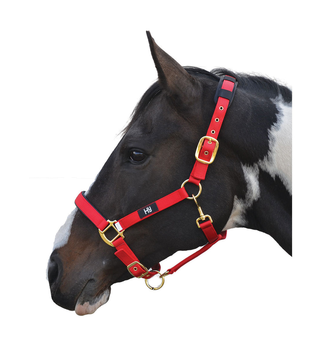 Hy Deluxe Padded Head Collar Red