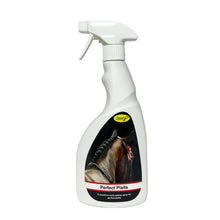 Load image into Gallery viewer, Smart Grooming Perfect Plaits Spray 500ml