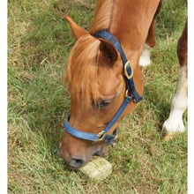 Load image into Gallery viewer, Simple System Lucie Brix 20kg