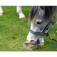 Load image into Gallery viewer, Simple System Meadow Brix 20kg