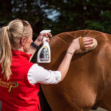 Load image into Gallery viewer, Smart Grooming Quarter Marking Spray 500ml