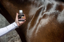 Load image into Gallery viewer, Smart Grooming Super Shine Lotion 250ml