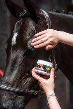 Load image into Gallery viewer, Smart Grooming Enhancing Gloss 150g