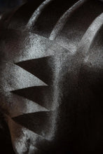 Load image into Gallery viewer, Smart Grooming Quarter Marking Spray 500ml