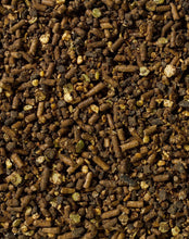 Load image into Gallery viewer, Saracen Shape Up 20kg