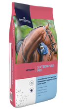 Load image into Gallery viewer, Dodson & Horrell Sixteen Plus Mix