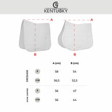 Load image into Gallery viewer, Kentucky Horsewear Skin Friendly Saddle Pad Dressage