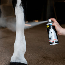 Load image into Gallery viewer, Smart Grooming Cover Up Spray Black