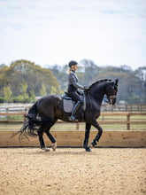 Load image into Gallery viewer, LeMieux Self-Cool Dressage Square Polar Grey