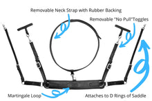Load image into Gallery viewer, Correct Connect 3-in-1 Training Breastplate