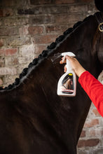 Load image into Gallery viewer, Smart Grooming Perfect Plaits Spray 500ml