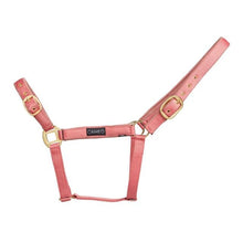 Load image into Gallery viewer, Cameo Suede Padded Headcollar