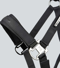Load image into Gallery viewer, Premier Equine Duco Padded Head Collar With Lead Rope