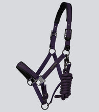 Load image into Gallery viewer, Premier Equine Duco Padded Head Collar With Lead Rope