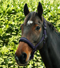 Load image into Gallery viewer, Premier Equine Duco Padded Head Collar With Lead Rope