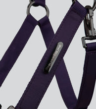 Load image into Gallery viewer, Premier Equine Duco Padded Head Collar With Lead Rope