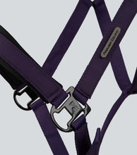 Load image into Gallery viewer, Premier Equine Duco Padded Head Collar With Lead Rope