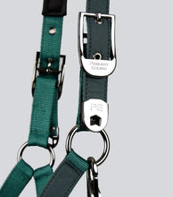 Load image into Gallery viewer, Premier Equine Duco Padded Head Collar With Lead Rope