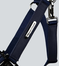 Load image into Gallery viewer, Premier Equine Duco Padded Head Collar With Lead Rope