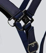 Load image into Gallery viewer, Premier Equine Duco Padded Head Collar With Lead Rope