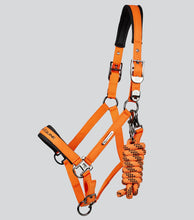Load image into Gallery viewer, Premier Equine Duco Padded Head Collar With Lead Rope