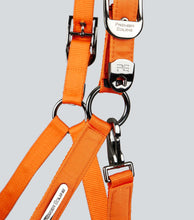 Load image into Gallery viewer, Premier Equine Duco Padded Head Collar With Lead Rope