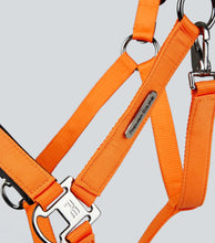 Load image into Gallery viewer, Premier Equine Duco Padded Head Collar With Lead Rope