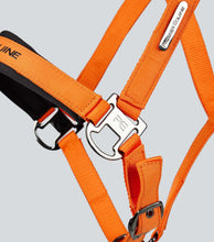 Load image into Gallery viewer, Premier Equine Duco Padded Head Collar With Lead Rope