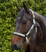 Load image into Gallery viewer, Premier Equine Duco Padded Head Collar With Lead Rope