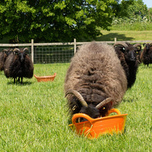 Load image into Gallery viewer, Red Gorilla Plastic Feed Skip Bucket Small 11L
