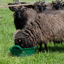 Load image into Gallery viewer, Red Gorilla Plastic Feed Skip Bucket Small 11L