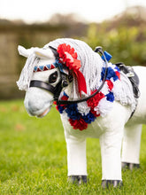 Load image into Gallery viewer, LeMieux Toy Pony Rosette Pack