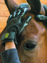Load image into Gallery viewer, LeMieux Hands On Glove Medium