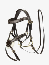 Load image into Gallery viewer, LeMieux Hobby Horse Grackle Brown