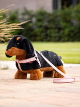 Load image into Gallery viewer, LeMieux Toy Puppy Sally