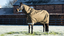 Load image into Gallery viewer, LeMieux Arika Ripstop 200g Turnout Rug Alpine