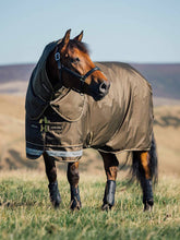 Load image into Gallery viewer, LeMieux Arika Ripstop 200g Turnout Rug Alpine