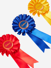 Load image into Gallery viewer, LeMieux Toy Pony Rosette Pack