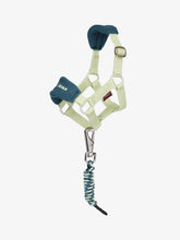 Load image into Gallery viewer, LeMieux Toy Pony Vogue Headcollar & Leadrope Macaron